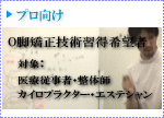 �v���Ώ� O�r �@
